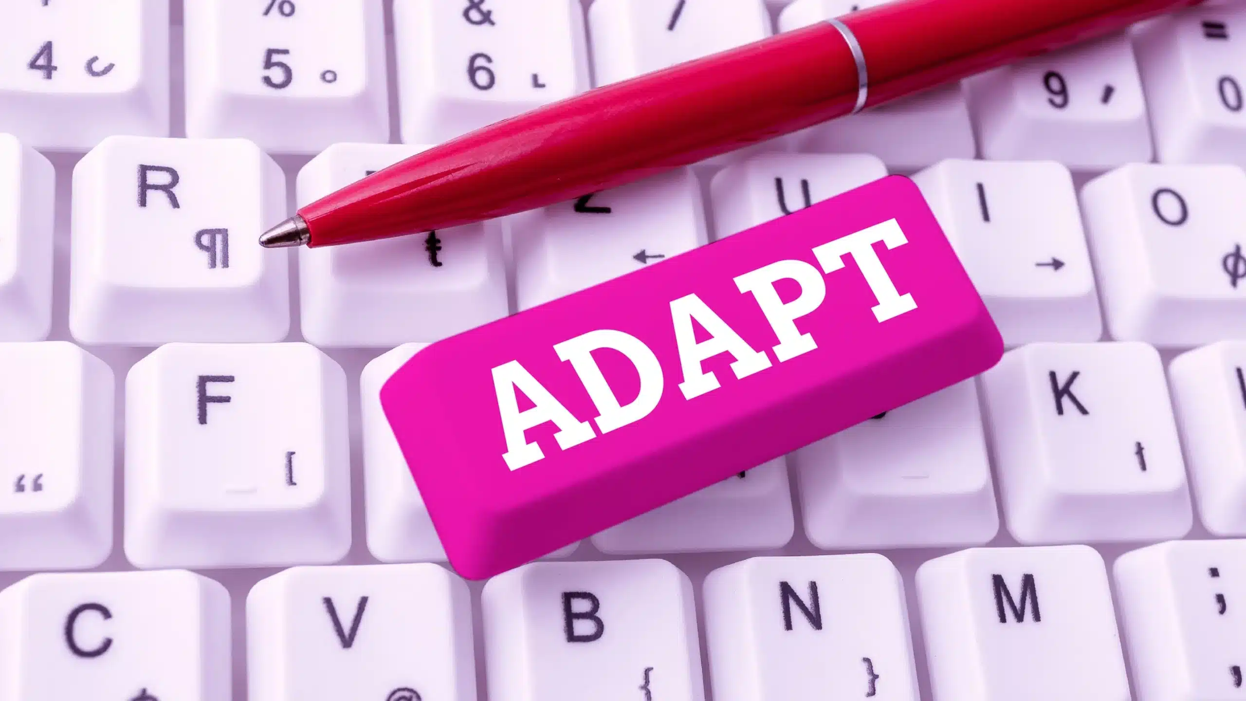 Adapt Image Building Beyond change fatigue: Turning adaptability into a cultural constant ...